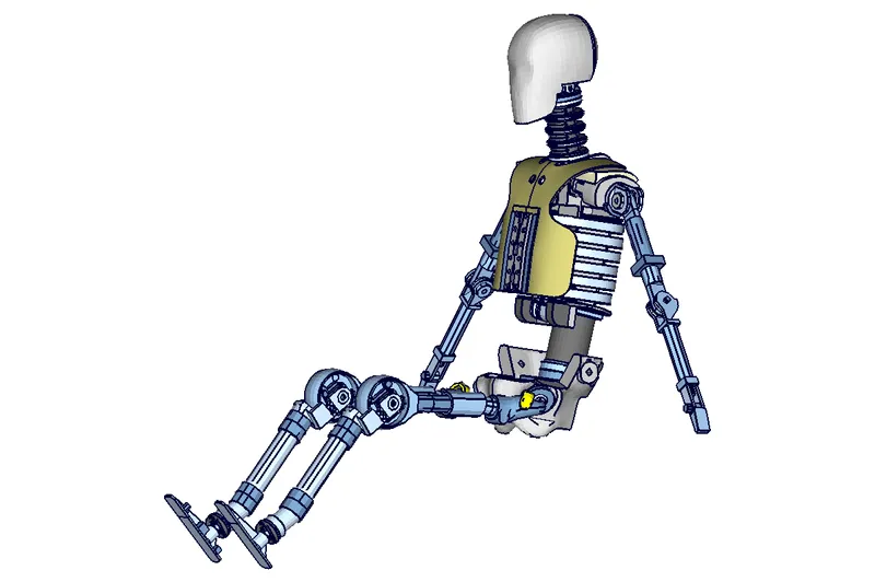 H305 Skelett